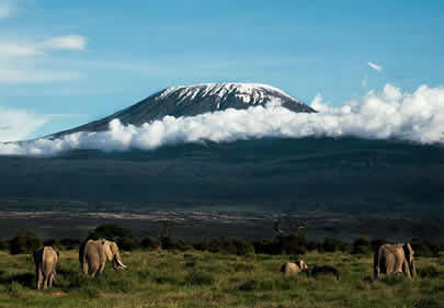 A-guide-to-kilimanjaro