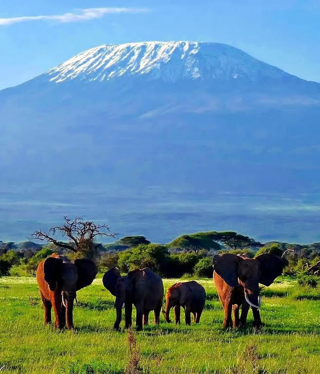 Tanzania a Blend of Natural Wonders and Cultural Diversity