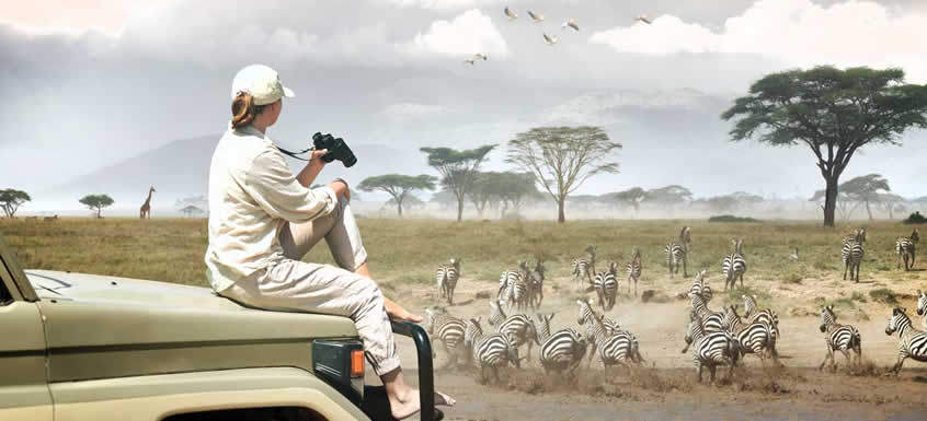 why-visit-tanzania-for-safaris