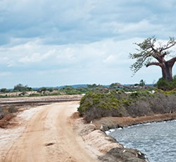 Camping-Safari-in-Saadani-national Park Tanzania