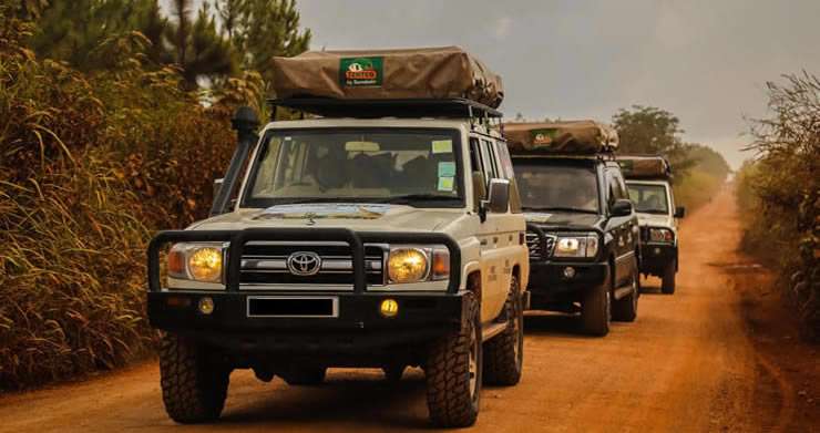 Tanzania Car hire and Overlanding-Safaris-Africa