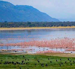 lake-manyara-Tanzania Self drive Tours